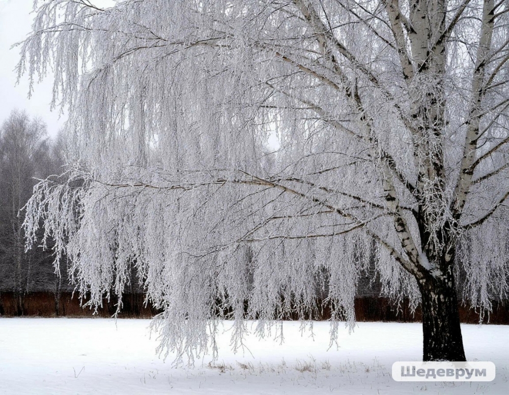 Гороскоп на 19 января 2026 года