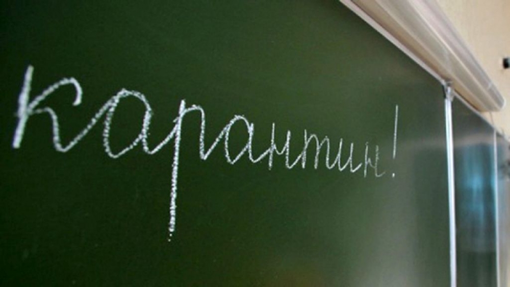 В Омской области две сельские школы закрыли из-за коронавируса