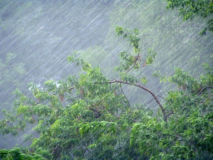 В Омске 29 мая ожидается сильный ветер, грозы и дожди