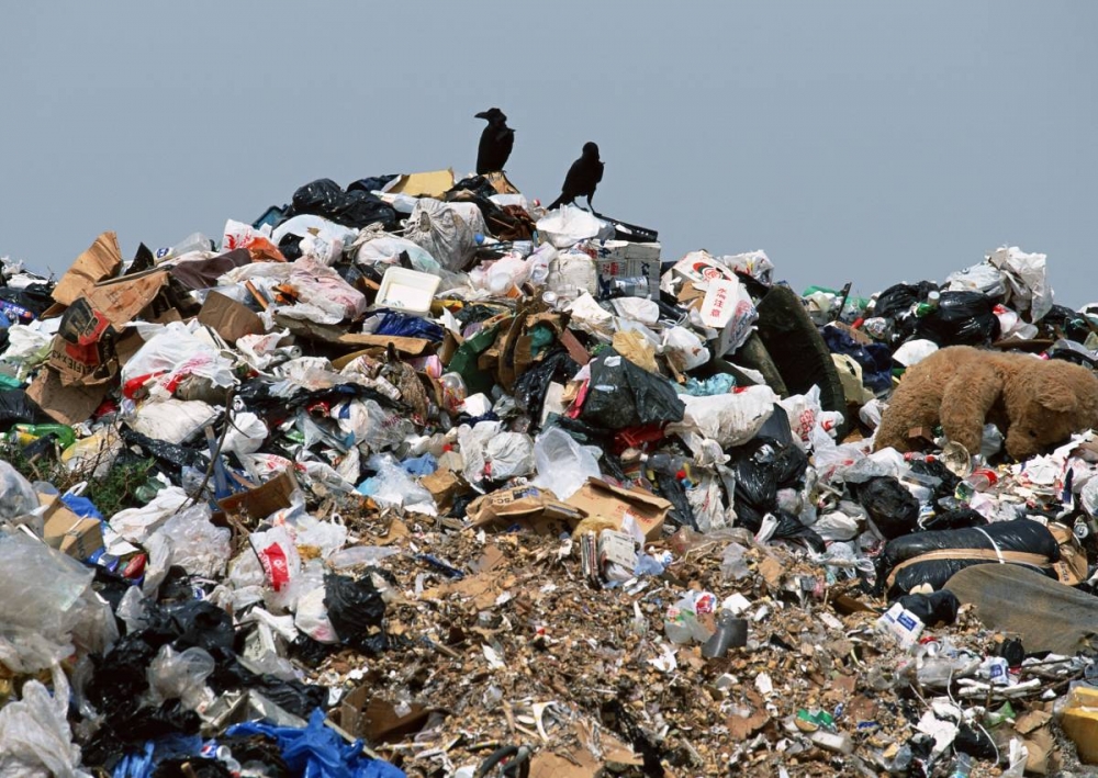 Минус два, да не те. Два мусорных полигона в Омске федералы обещают ликвидировать в 2022 году