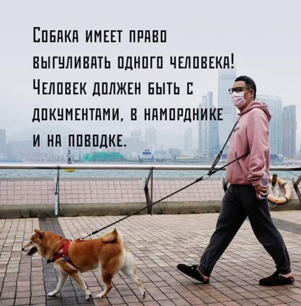 Анекдот в картинках и не только. Выпуск от 17.04.2020