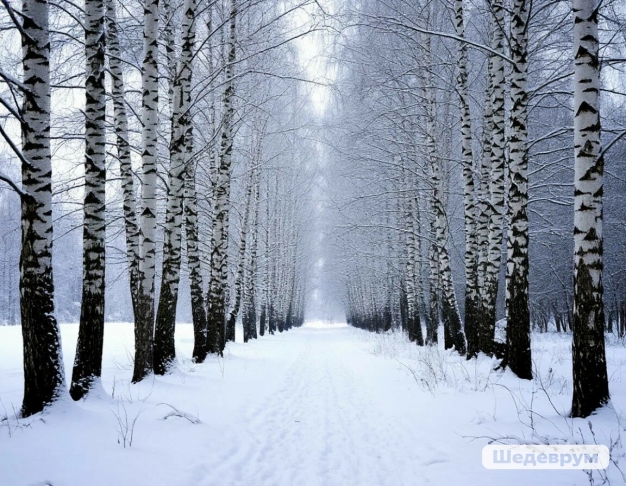 Четыре строчки про главное. Про жизнь, которая стала «чище, светлее и проще»