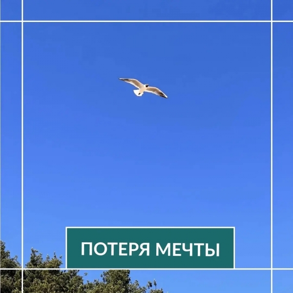 Как помочь ребенку пережить потерю мечты