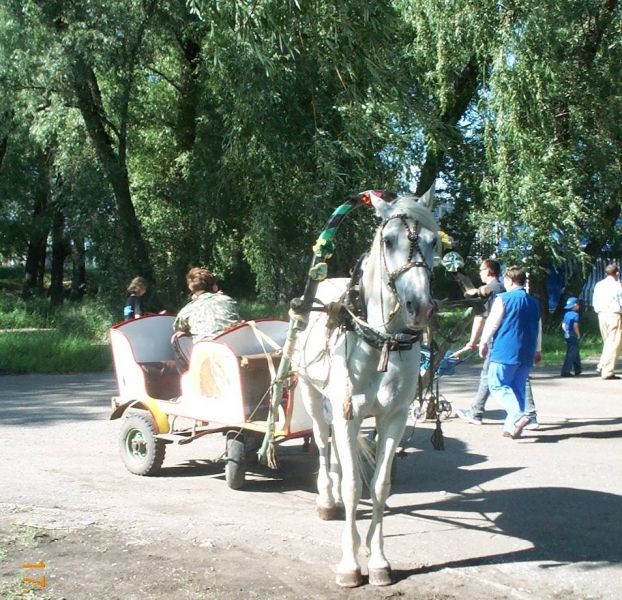 Запахло зеленью