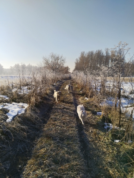 Потеряла часть души я по дороге на работу...