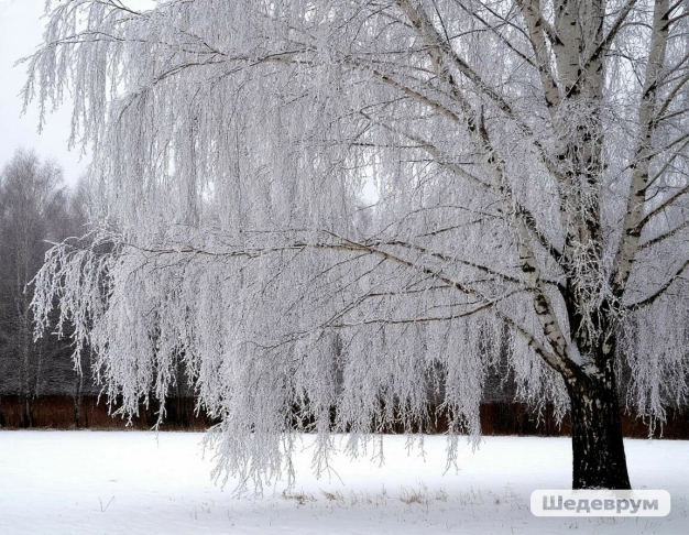 Гороскоп на 19 января 2026 года
