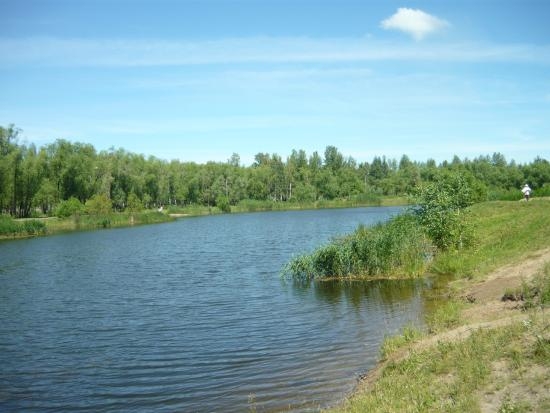 В главном омском ПКиО готовят пляж, зону барбекю и платную рыбалку