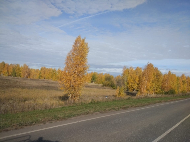 Солнечная погода задержится в Омске до конца недели