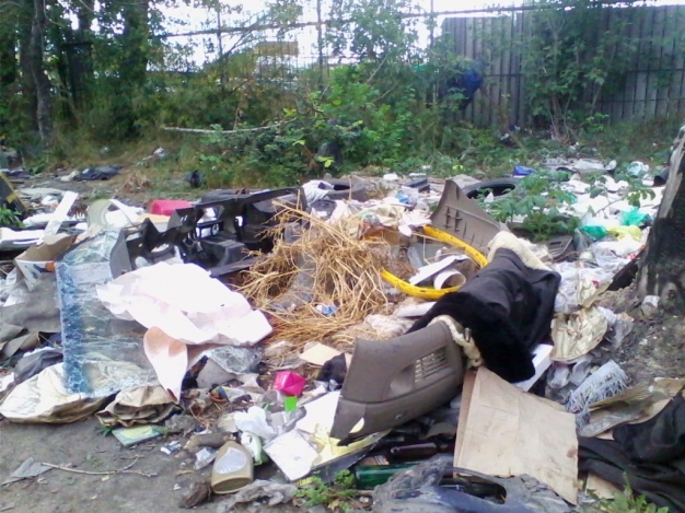 Омские депутаты хотят ввести режим чрезвычайной ситуации из-за мусора