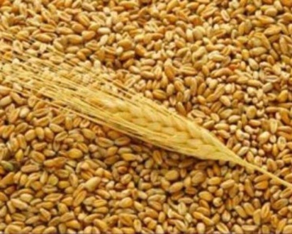 Право экспортировать зерно в Китай получило 21 хозяйство из Омской области