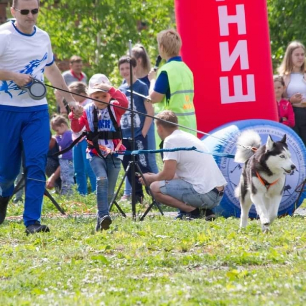 В Омске пройдет ежегодный Хвостатый забег