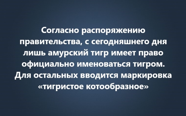 Анекдот в картинках и не только. Выпуск от 16.07.2021