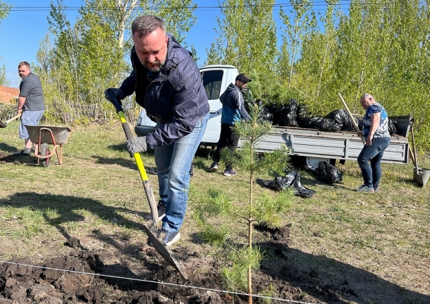 Аллея у Новомосковки вырастет, ФАП и клуб — починят