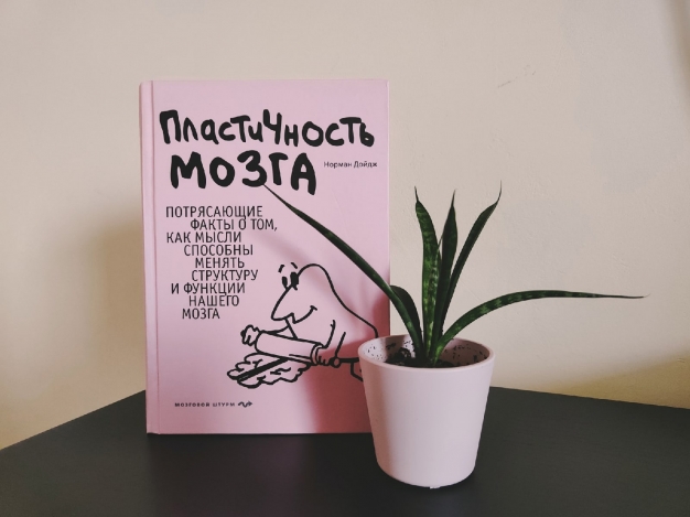 «Пластичность мозга: потрясающие факты о том, как мысли способны менять структуру и функции нашего мозга» 