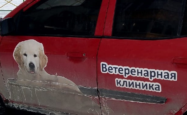 Ветеренарный венегрет 