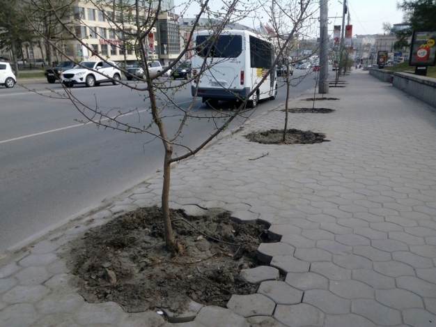 «Очень профессиональные благоустроители подобрались вплотную к мэрии»