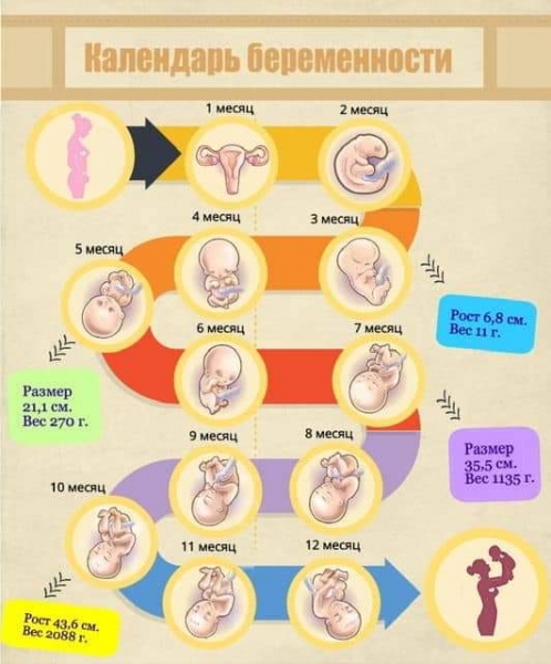 Анекдот в картинках и не только. Выпуск от 21.10.2020