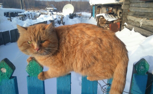КИРПИЧ