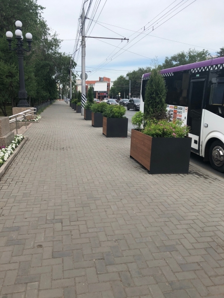 Об озеленении города Омска