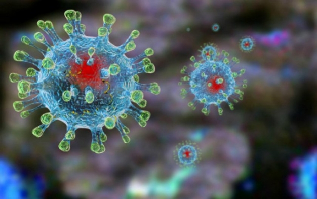 Что такое коронавирус для вас?