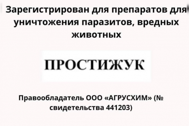 Анекдот в картинках и не только. Выпуск от 26.11.2022