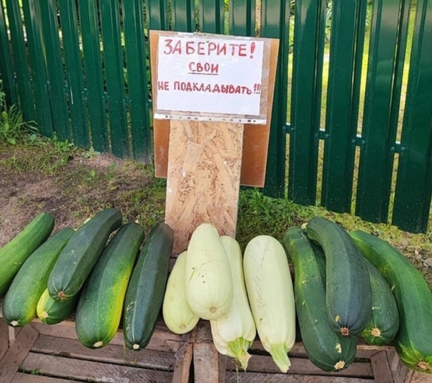 Анекдот в картинках и не только. Выпуск от 05.08.2024