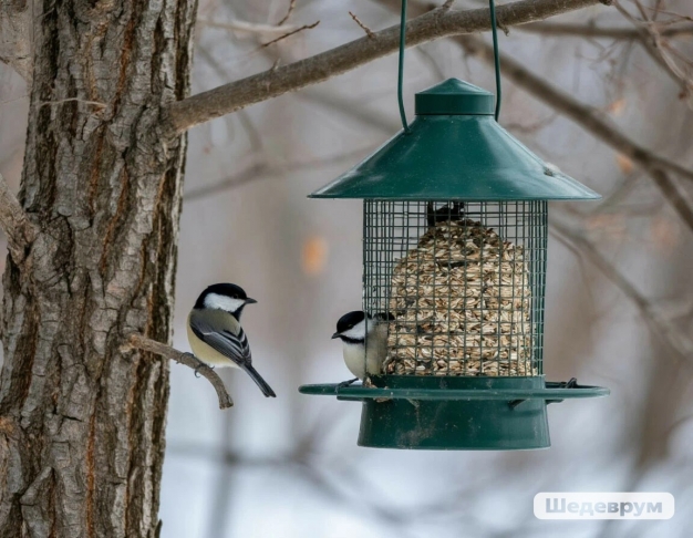 Гороскоп на 14 ноября 2025 года