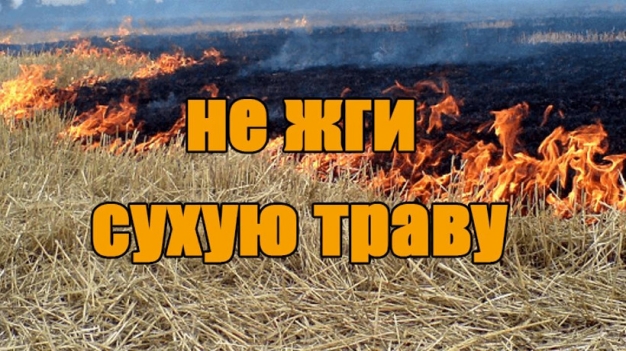 «Пламя от ума»