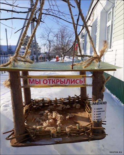 Анекдот в картинках и не только. Выпуск от 01.02.2020
