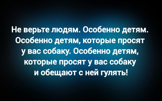 Анекдот в картинках и не только. Выпуск от 14.09.2025