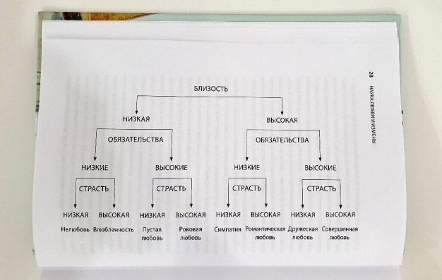 А какая любовь у вас?