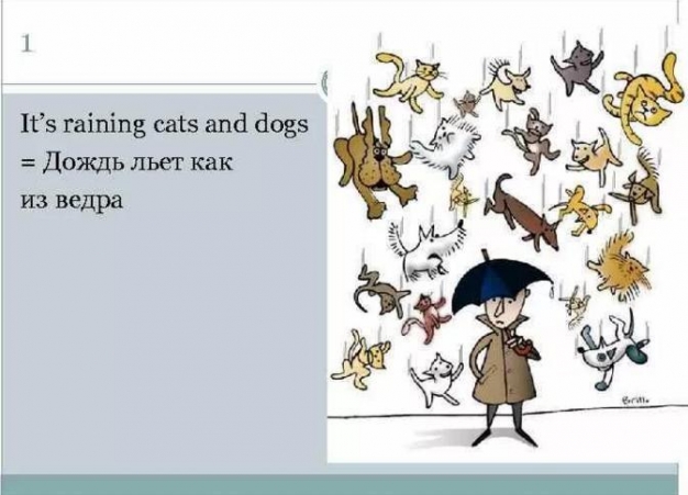 «Я неприятная в общении женщина» 