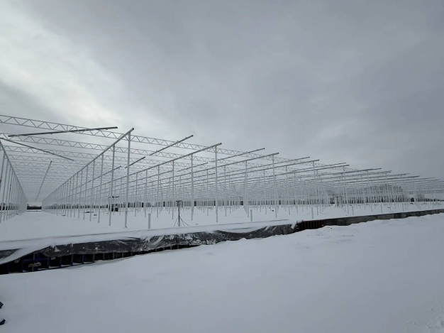 Тепличный комплекс в Лузино готовится к подключению к сетям