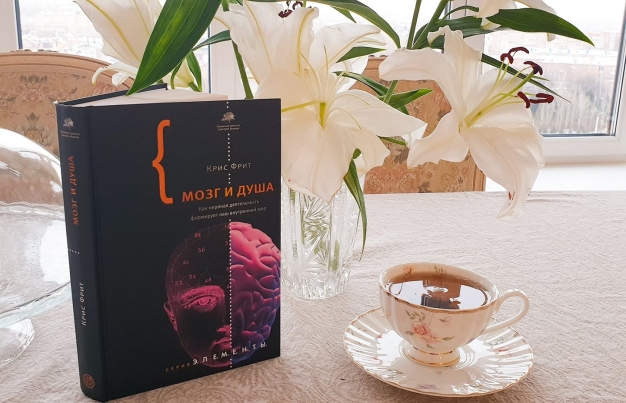  Спасибо мозгу за тот мир, который мы имеем