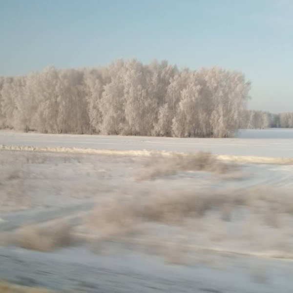 Воскресный текст. До слез