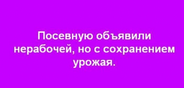 Анекдот в картинках и не только. Выпуск от 10.04.2020