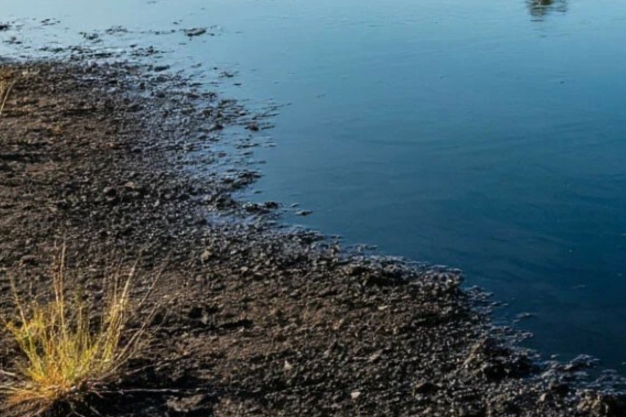 Сергей Шелест: «Загрязнение нефтепродуктами территории возле поселка Степной — застарелая экологическая проблема»