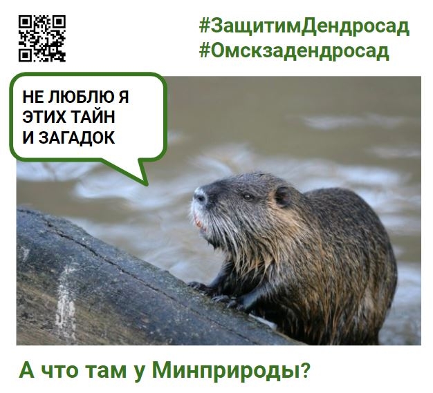 «Комплексное экологическое обследование дендросада должны провести ботаники, лихенолог, альголог, дендролог, энтомолог, орнитолог и другие»