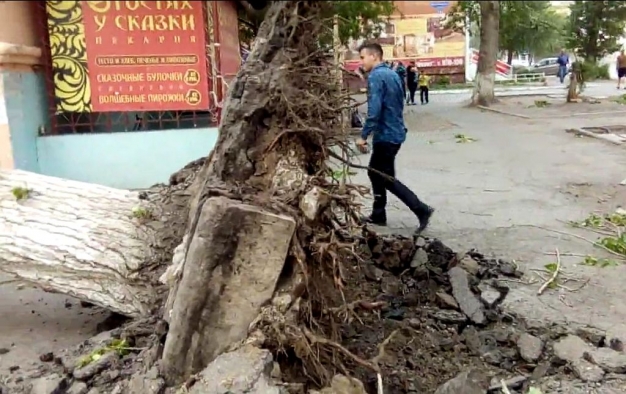 Омск отходит от последствий штормового ветра