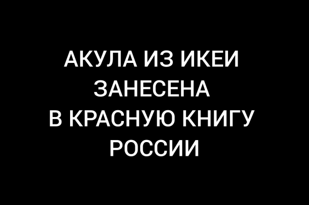 Ещё один способ принять реальность