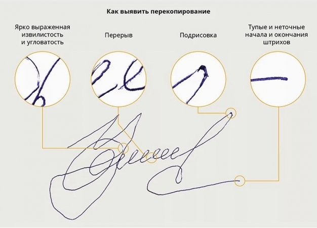 «Ты жива ещё, моя старушка?»