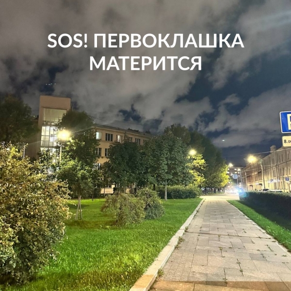 SOS! Первоклашка матерится 