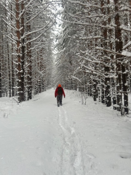«ДА Я СДОХНУ ЗДЕСЬ! СЛЫШИШЬ?! ВОКРУГ ОДНИ СУГРОБЫ!» 