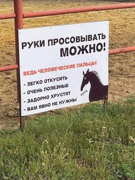 Анекдот в картинках и не только. Выпуск от 07.08.2020
