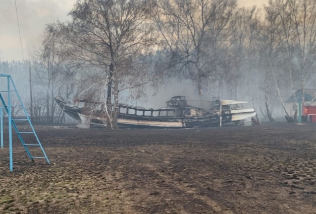 ЧП в Черлакском районе: подожгли свалку — спалили 95 га леса и детский лагерь