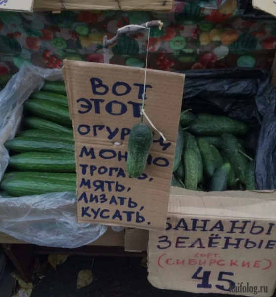 Анекдот в картинках и не только. Выпуск от 26.06.2022