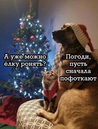 Анекдот в картинках и не только. Выпуск от 28.12.2020