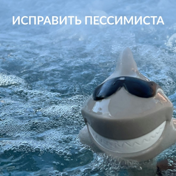 Исправить пессимиста