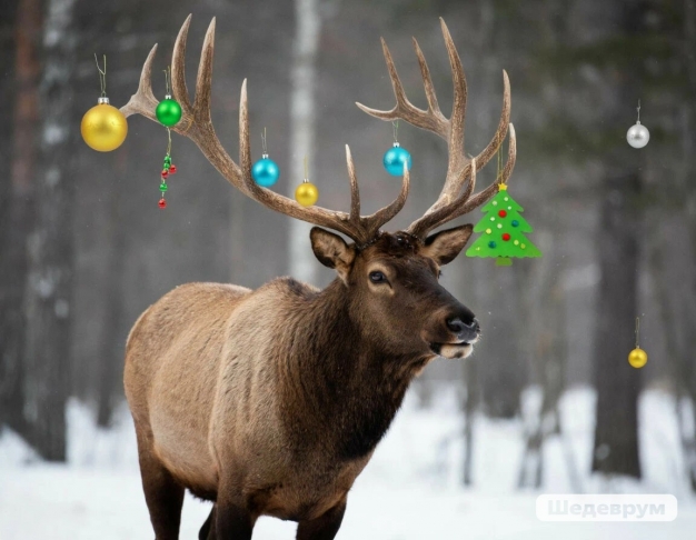 Гороскоп на 19 декабря 2025 года