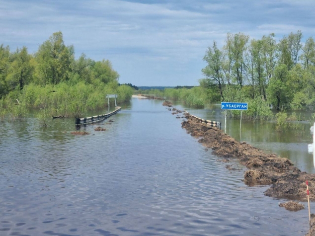 В Омской области остаются затопленными 485 домов